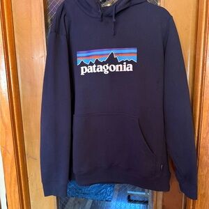 Patagonia Navy Hoodie with Multicolor Logo